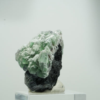 Seltene Phantom Fluorit Würfel, Schörl Turmalin Stufe Erongo, Namibia 22*17*12mm #13559