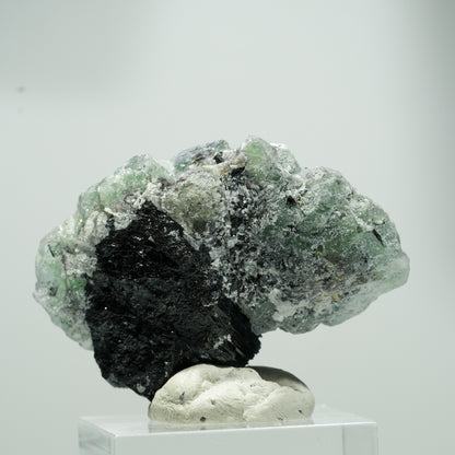 Seltene Phantom Fluorit Würfel, Schörl Turmalin Stufe Erongo, Namibia 22*17*12mm #13559