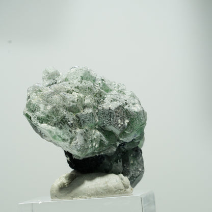 Seltene Phantom Fluorit Würfel, Schörl Turmalin Stufe Erongo, Namibia 22*17*12mm #13559