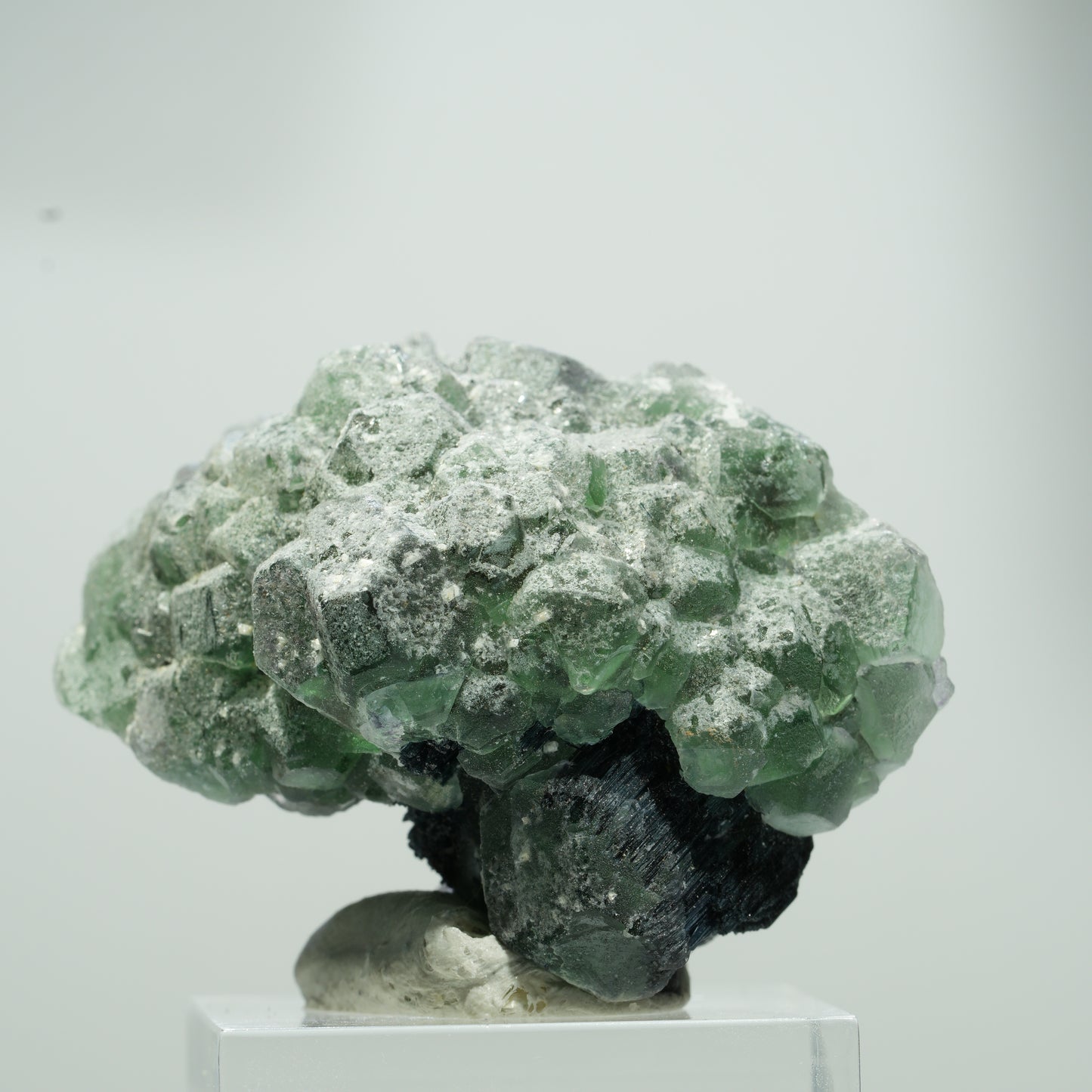 Seltene Phantom Fluorit Würfel, Schörl Turmalin Stufe Erongo, Namibia 22*17*12mm #13559
