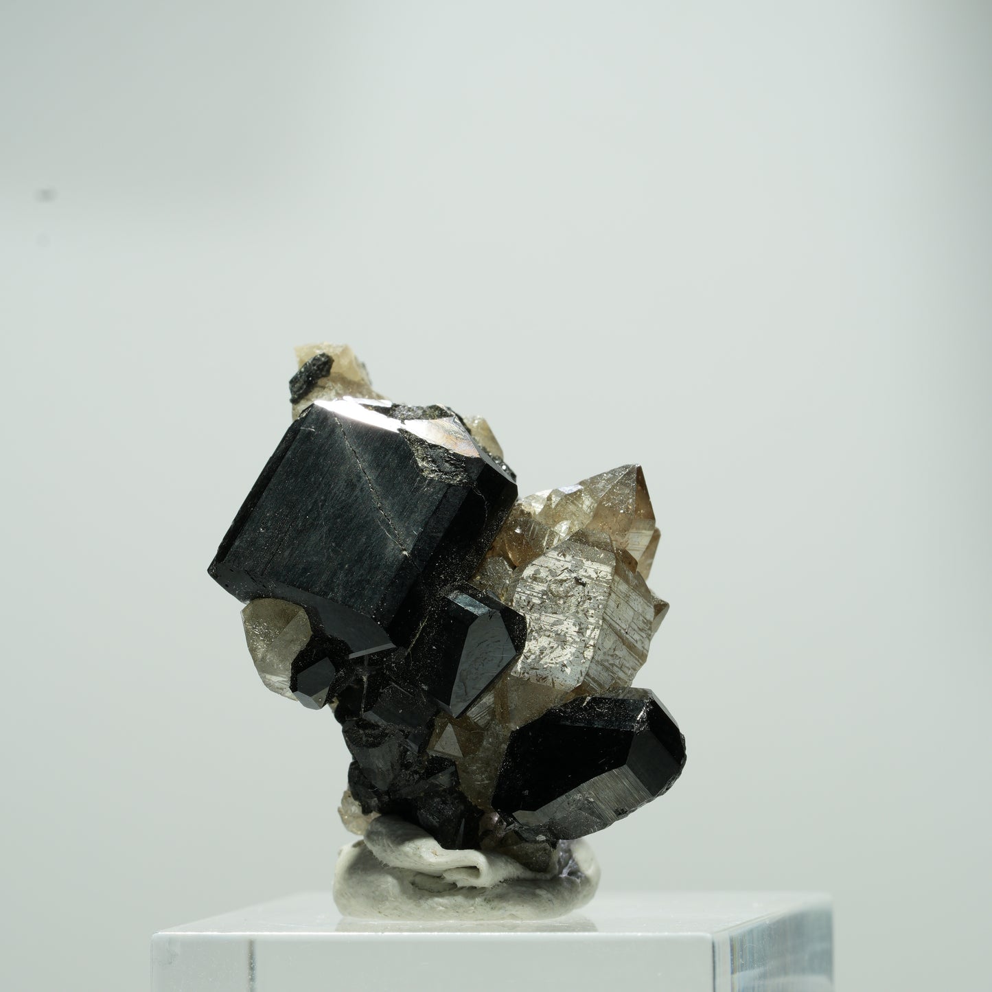 Seltene Schörl Turmalin, Rauchquarz Stufe Erongo, Namibia 15*11*8mm #13560
