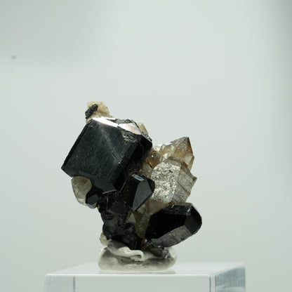 Seltene Schörl Turmalin, Rauchquarz Stufe Erongo, Namibia 15*11*8mm #13560