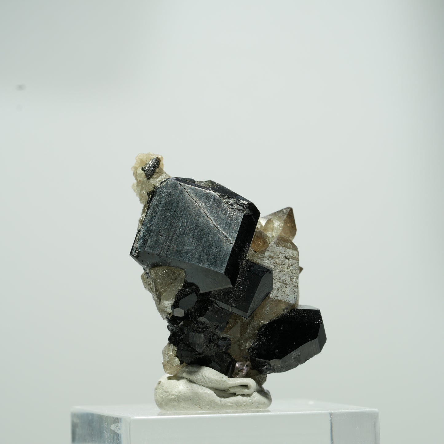 Seltene Schörl Turmalin, Rauchquarz Stufe Erongo, Namibia 15*11*8mm #13560