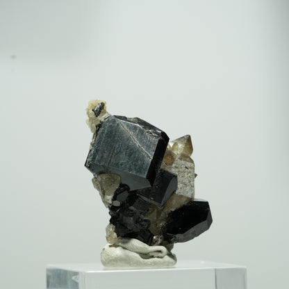 Seltene Schörl Turmalin, Rauchquarz Stufe Erongo, Namibia 15*11*8mm #13560