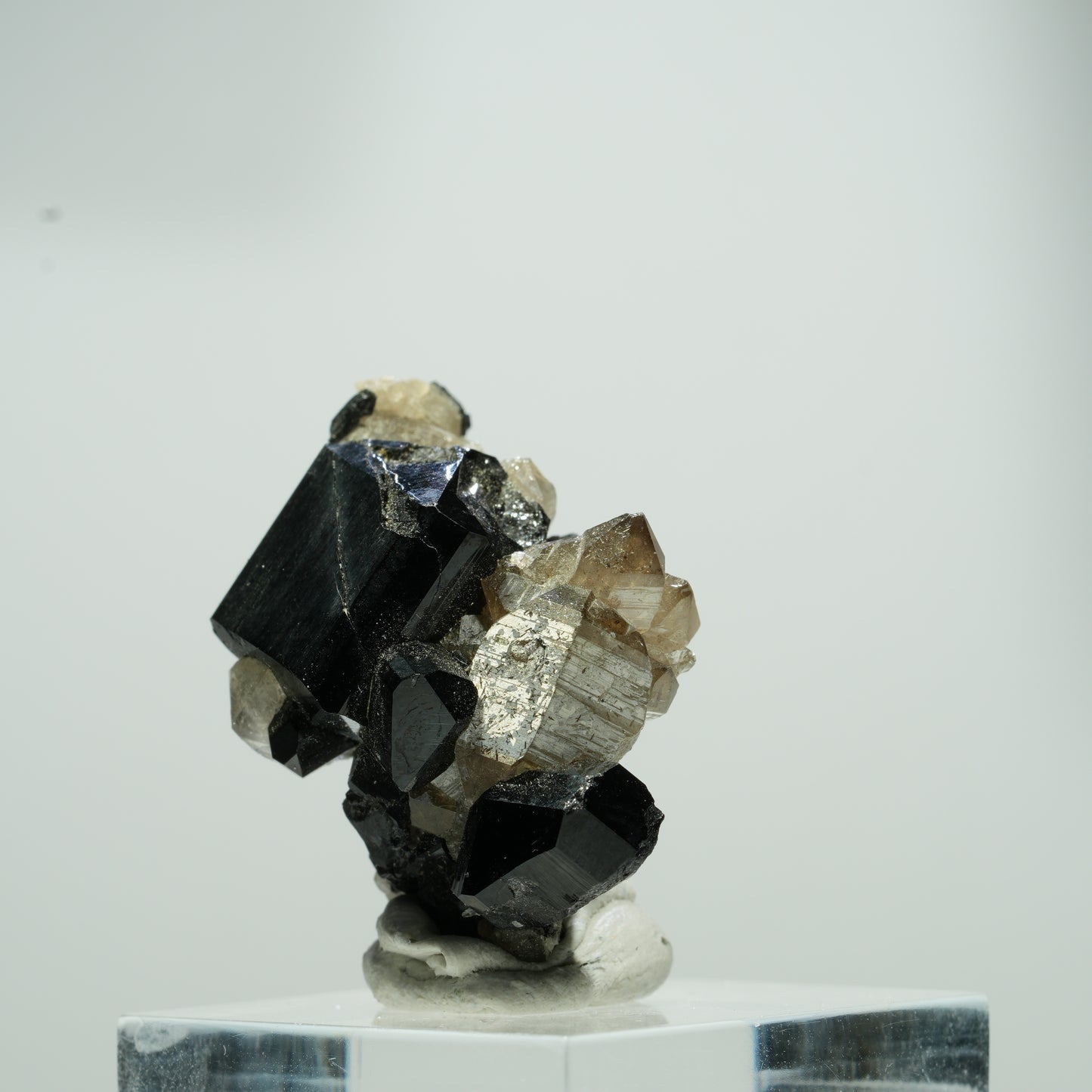 Seltene Schörl Turmalin, Rauchquarz Stufe Erongo, Namibia 15*11*8mm #13560
