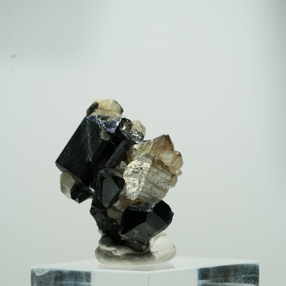 Seltene Schörl Turmalin, Rauchquarz Stufe Erongo, Namibia 15*11*8mm #13560