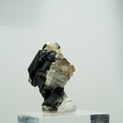 Seltene Schörl Turmalin, Rauchquarz Stufe Erongo, Namibia 15*11*8mm #13560