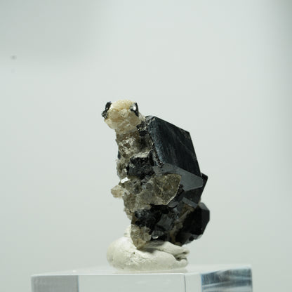 Seltene Schörl Turmalin, Rauchquarz Stufe Erongo, Namibia 15*11*8mm #13560