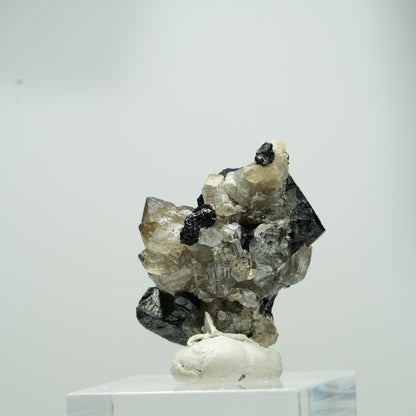 Seltene Schörl Turmalin, Rauchquarz Stufe Erongo, Namibia 15*11*8mm #13560