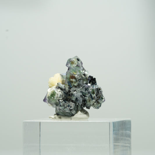 Bunte Phantom Fluorit Würfel, Schörl Turmalin, Muskovit Erongo, Namibia 10*10*8mm #13562