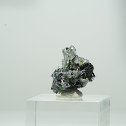Bunte Phantom Fluorit Würfel, Schörl Turmalin, Muskovit Erongo, Namibia 10*10*8mm #13562