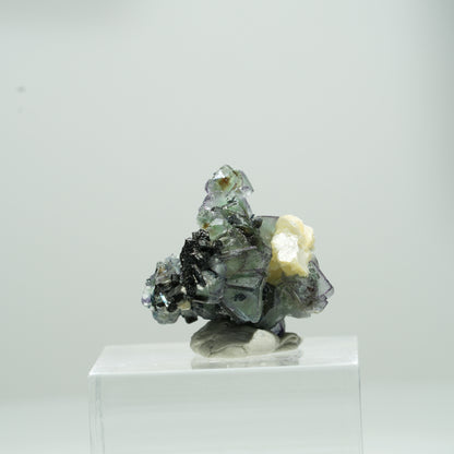 Bunte Phantom Fluorit Würfel, Schörl Turmalin, Muskovit Erongo, Namibia 10*10*8mm #13562