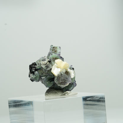 Bunte Phantom Fluorit Würfel, Schörl Turmalin, Muskovit Erongo, Namibia 10*10*8mm #13562