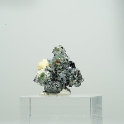 Bunte Phantom Fluorit Würfel, Schörl Turmalin, Muskovit Erongo, Namibia 10*10*8mm #13562