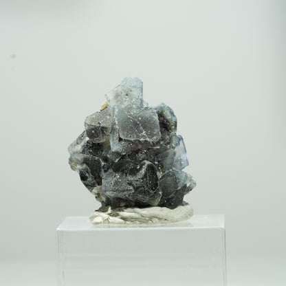 Bunte Phantom Fluorit Würfel, Muskovit Stufe Erongo, Namibia 13*11*9mm #13563