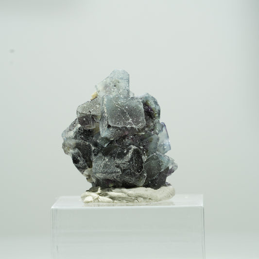 Bunte Phantom Fluorit Würfel, Muskovit Stufe Erongo, Namibia 13*11*9mm #13563
