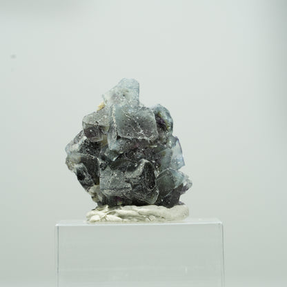 Bunte Phantom Fluorit Würfel, Muskovit Stufe Erongo, Namibia 13*11*9mm #13563