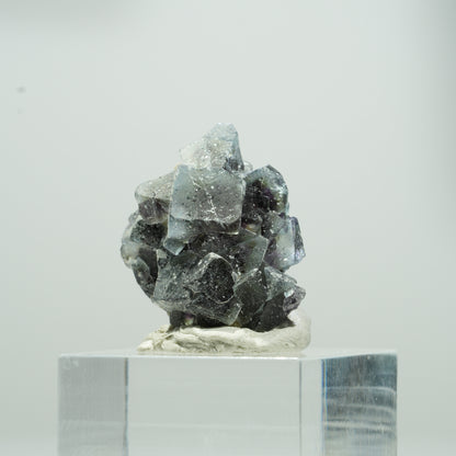 Bunte Phantom Fluorit Würfel, Muskovit Stufe Erongo, Namibia 13*11*9mm #13563