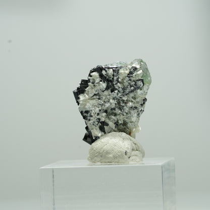 Phantom Fluorit Würfel, Schörl Turmalin, Muskovit Erongo, Namibia 13*9*6mm #13564