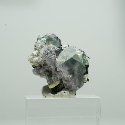 Phantom Fluorit hexagonal, Schörl Turmalin, Muskovit Erongo, Namibia 14*11*8mm #13568