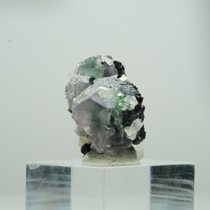 Phantom Fluorit hexagonal, Schörl Turmalin, Muskovit Erongo, Namibia 14*11*8mm #13568