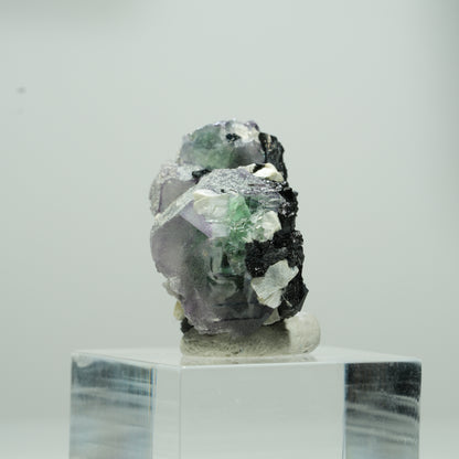 Phantom Fluorit hexagonal, Schörl Turmalin, Muskovit Erongo, Namibia 14*11*8mm #13568