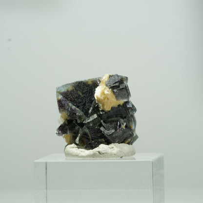 Bunte Phantom Fluorit Würfel, Muskovit Stufe Erongo, Namibia 12*11*9mm #13569