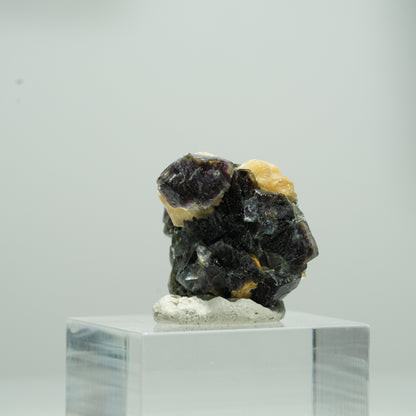 Bunte Phantom Fluorit Würfel, Muskovit Stufe Erongo, Namibia 12*11*9mm #13569