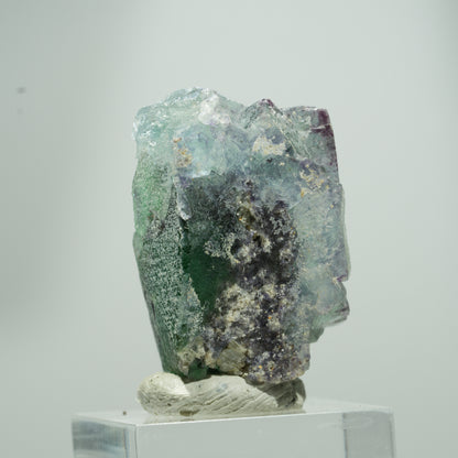 Seltene Phantom Fluorit Würfel Stufe, grün lila Okorusu, Namibia 18*17*12mm #13575