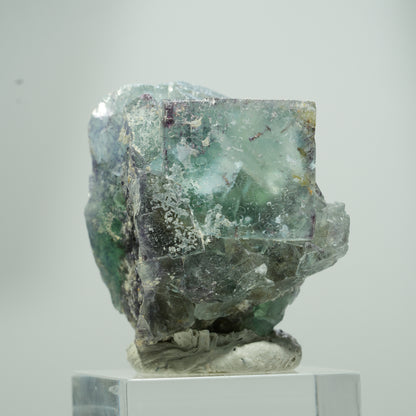Seltene Phantom Fluorit Würfel Stufe, grün lila Okorusu, Namibia 18*17*12mm #13575