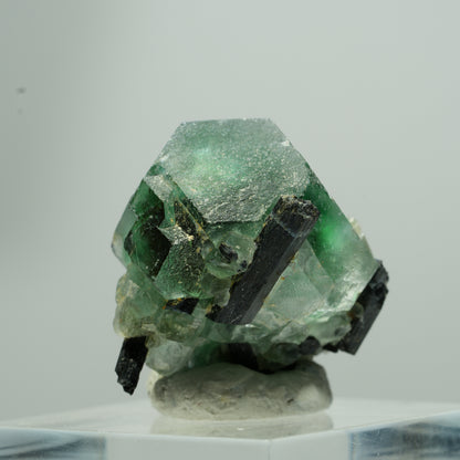 Phantom Fluorit hexagonal, Schörl Turmalin Stufe Erongo, Namibia 13*12*9mm #13577