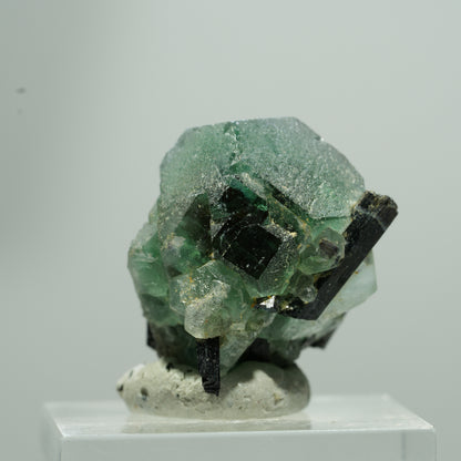 Phantom Fluorit hexagonal, Schörl Turmalin Stufe Erongo, Namibia 13*12*9mm #13577