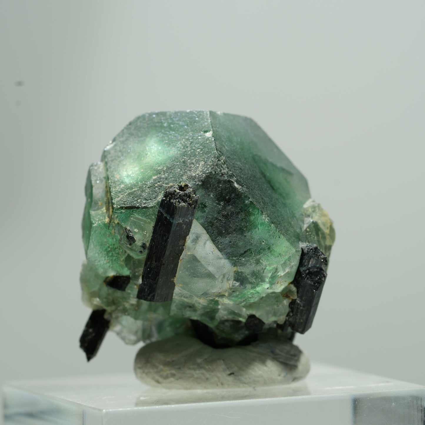 Phantom Fluorit hexagonal, Schörl Turmalin Stufe Erongo, Namibia 13*12*9mm #13577