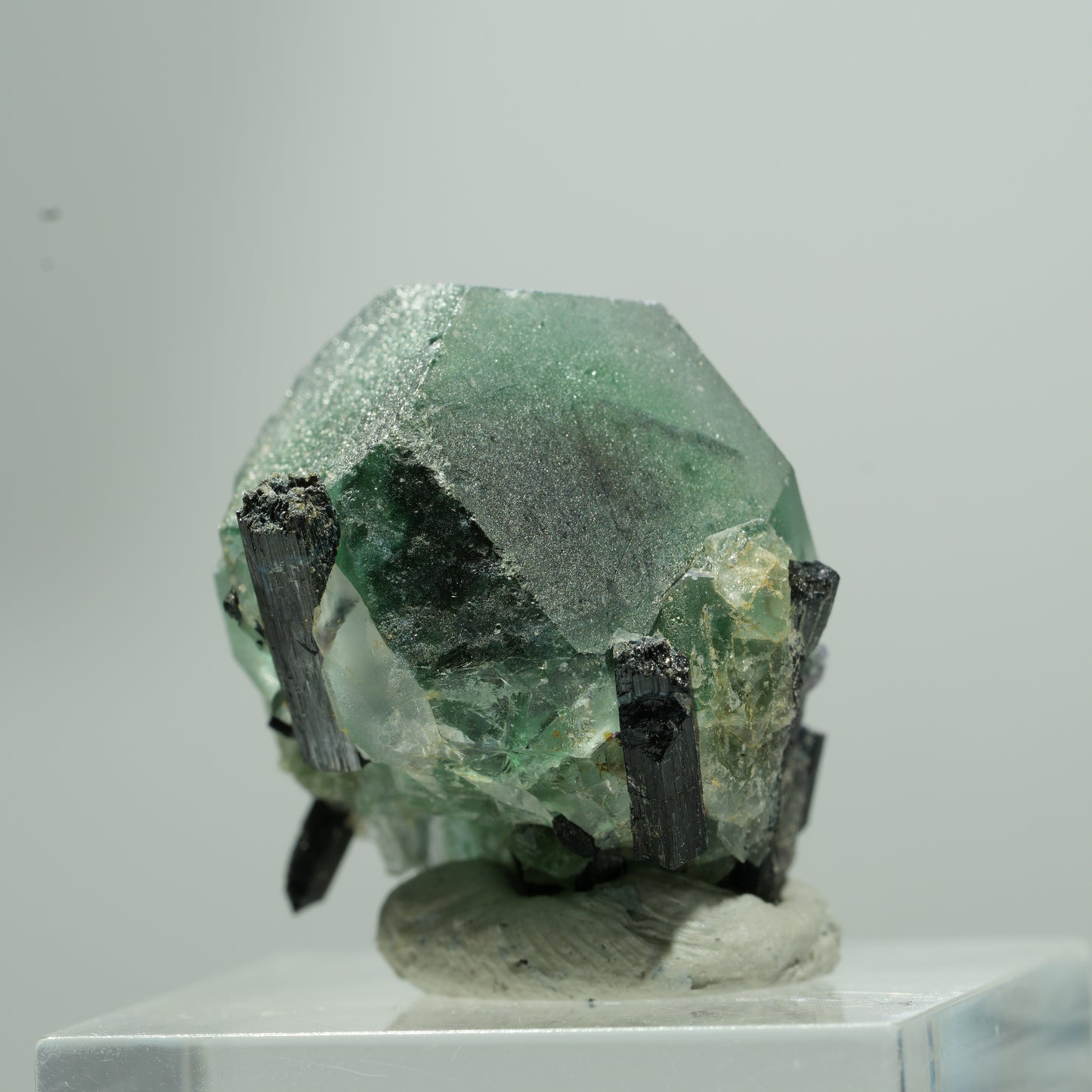 Phantom Fluorit hexagonal, Schörl Turmalin Stufe Erongo, Namibia 13*12*9mm #13577