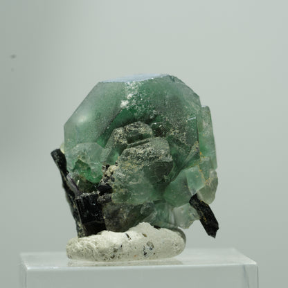 Phantom Fluorit hexagonal, Schörl Turmalin Stufe Erongo, Namibia 13*12*9mm #13577