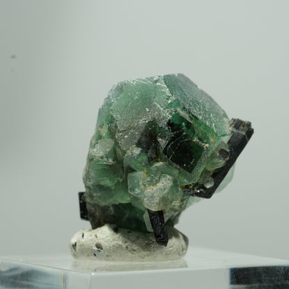 Phantom Fluorit hexagonal, Schörl Turmalin Stufe Erongo, Namibia 13*12*9mm #13577