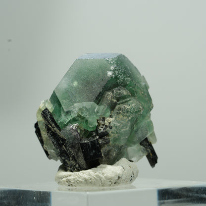 Phantom Fluorit hexagonal, Schörl Turmalin Stufe Erongo, Namibia 13*12*9mm #13577
