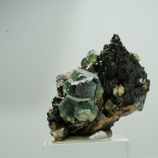 Phantom Fluorit hexagonal, Schörl Turmalin, Rauchquarz Stufe Erongo, Namibia 22*18*12mm #13580