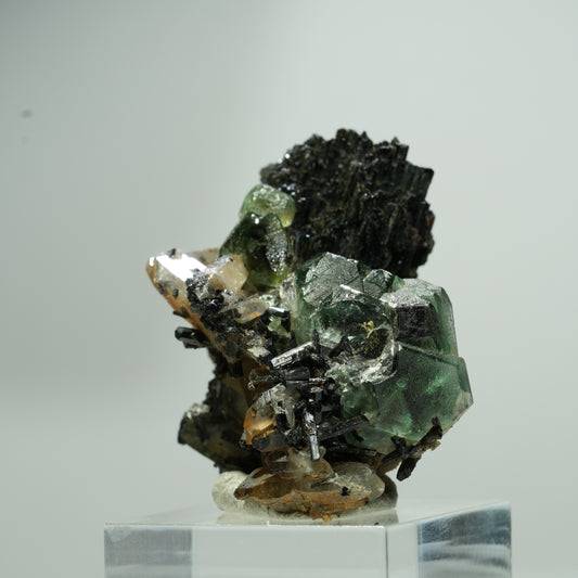 Phantom Fluorit hexagonal, Schörl Turmalin, Rauchquarz Stufe Erongo, Namibia 22*18*12mm #13580