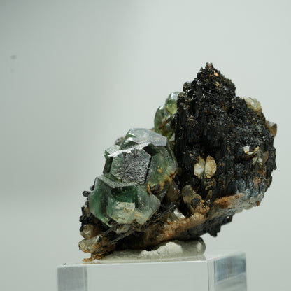 Fluorite fantôme hexagonale, tourmaline schorl, quartz fumé sur matrice Erongo, Namibie 22*18*12mm #13580