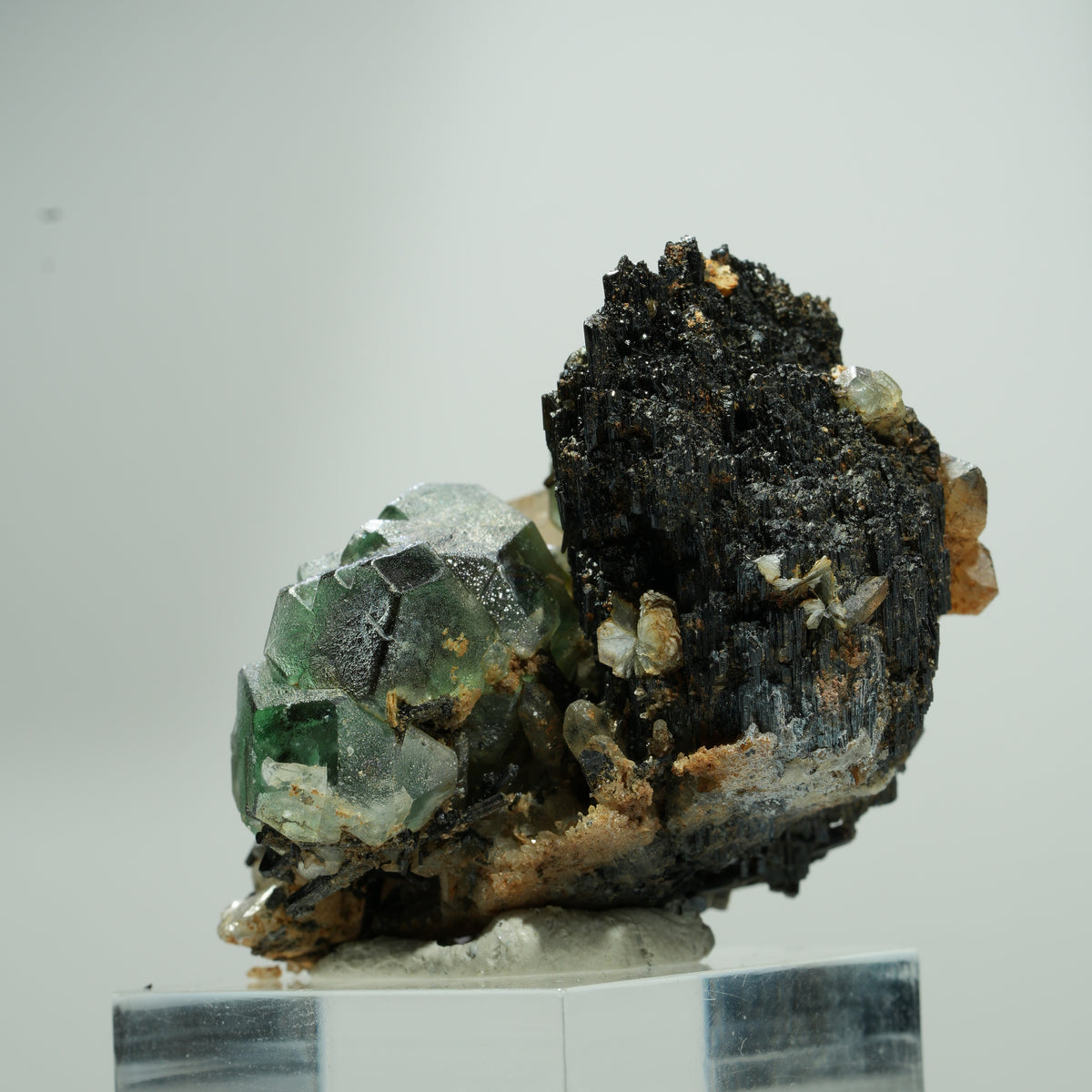 Fluorite fantôme hexagonale, tourmaline schorl, quartz fumé sur matrice Erongo, Namibie 22*18*12mm #13580
