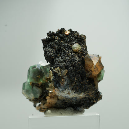 Fluorite fantôme hexagonale, tourmaline schorl, quartz fumé sur matrice Erongo, Namibie 22*18*12mm #13580