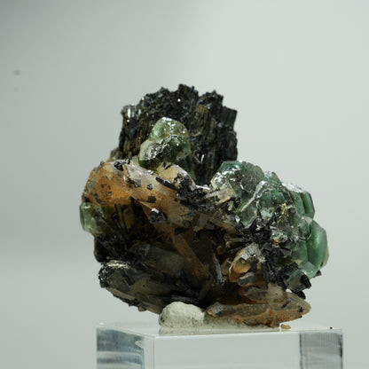 Fluorite fantôme hexagonale, tourmaline schorl, quartz fumé sur matrice Erongo, Namibie 22*18*12mm #13580