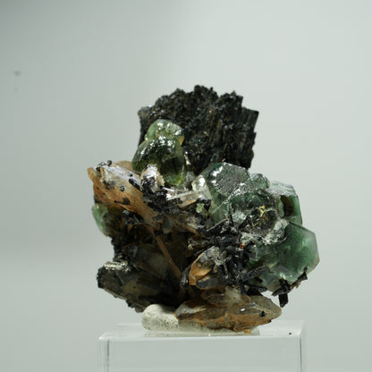 Fluorite fantôme hexagonale, tourmaline schorl, quartz fumé sur matrice Erongo, Namibie 22*18*12mm #13580