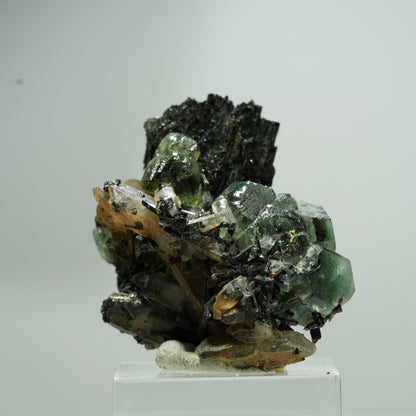 Fluorite fantôme hexagonale, tourmaline schorl, quartz fumé sur matrice Erongo, Namibie 22*18*12mm #13580
