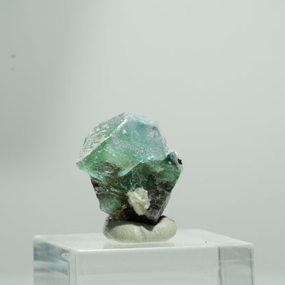 Phantom Fluorit hexagonal, Schörl Turmalin, Muskovit Erongo, Namibia 9*7*5mm #13581