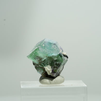 Phantom Fluorit hexagonal, Schörl Turmalin, Muskovit Erongo, Namibia 9*7*5mm #13581