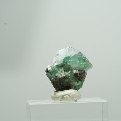 Phantom Fluorit hexagonal, Schörl Turmalin, Muskovit Erongo, Namibia 9*7*5mm #13581