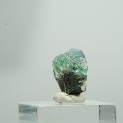 Phantom Fluorit hexagonal, Schörl Turmalin, Muskovit Erongo, Namibia 9*7*5mm #13581