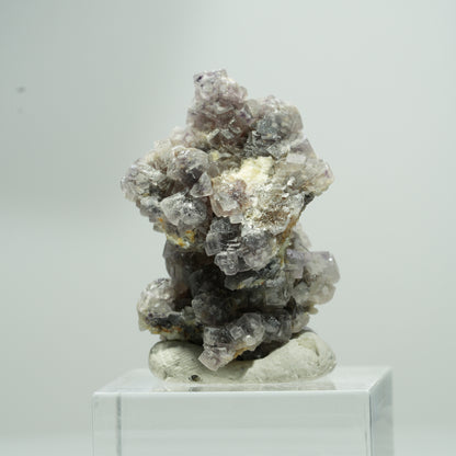 Seltene Phantom Fluorit Würfel, Muskovit Stufe Erongo, Namibia 16*12*11mm #13584